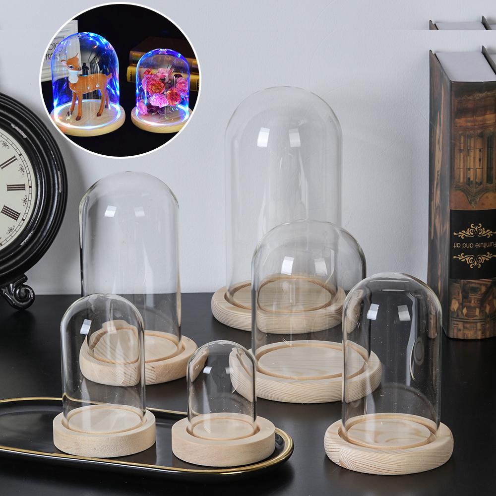 Home Decor Flowers - Tanaman Hias Rumah, Terarium dalam Stoples,