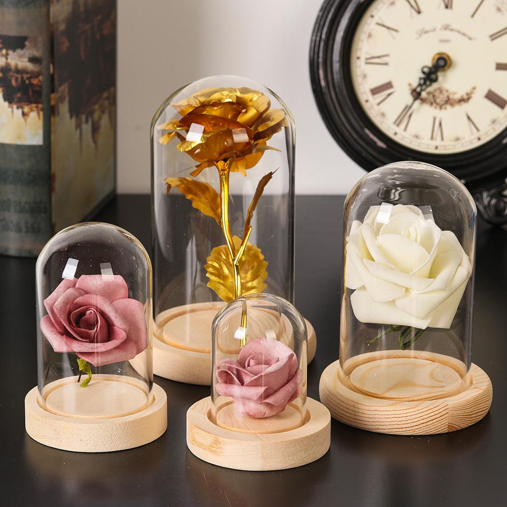 Tanaman Hias Rumah, Terarium d - Home Decor Flowers ulasan dan harga
