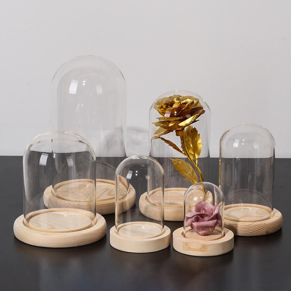 Tanaman Hias Rumah, Terarium d - Home Decor Flowers ulasan dan harga